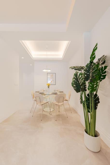 Isg Apartments O'Donnell 2-2-Free Parking Sevilla Buitenkant foto